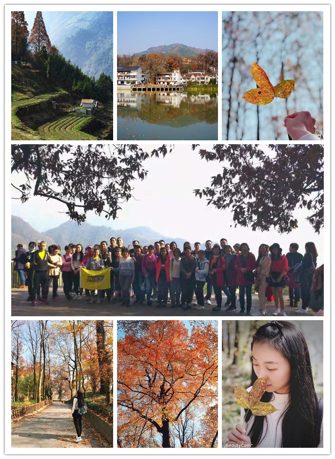 必赢电子交易市场组织“指南村赏秋”活动