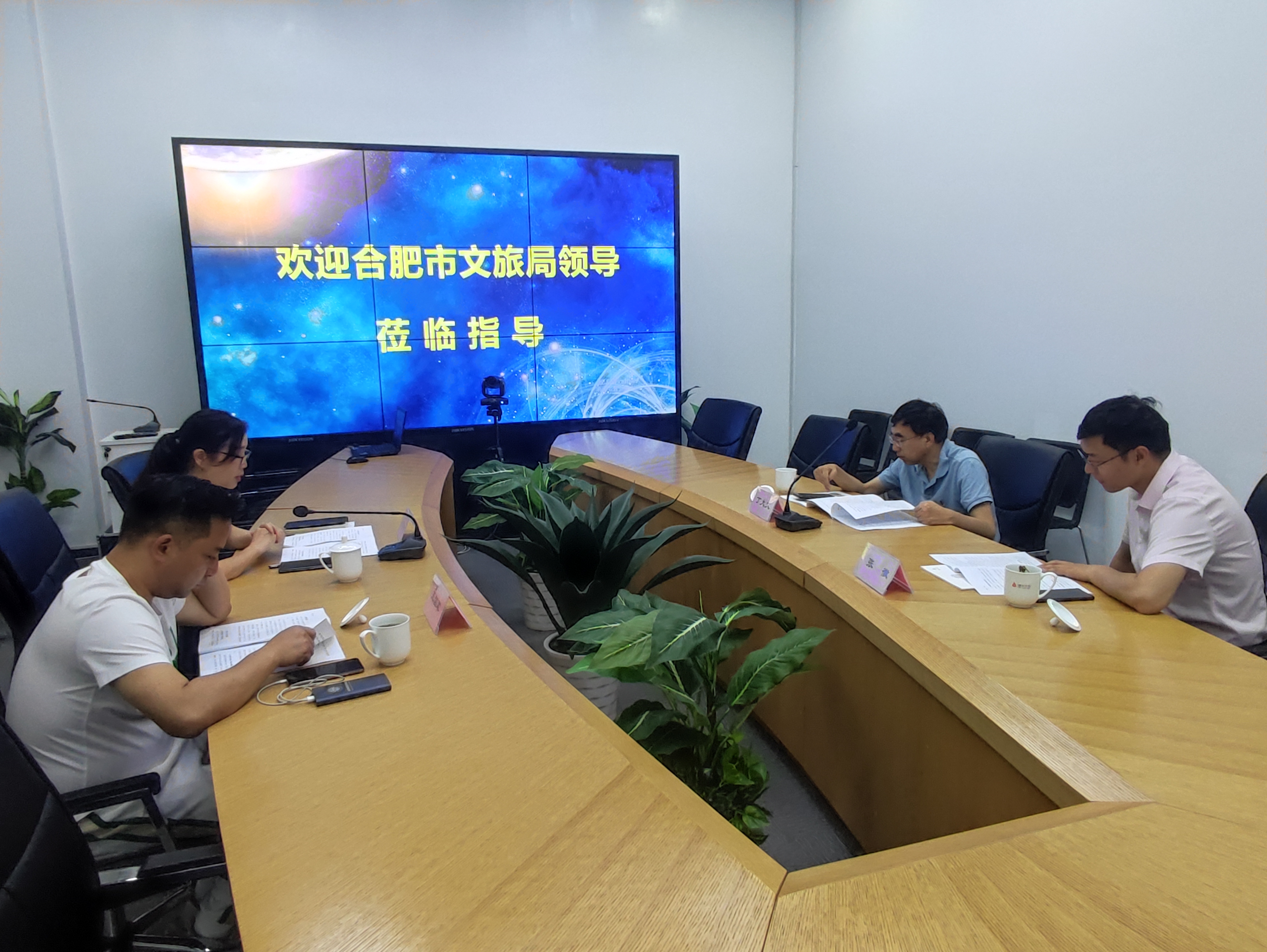 合肥市文化旅游局丁大文处长一行莅临必赢文创集团调研