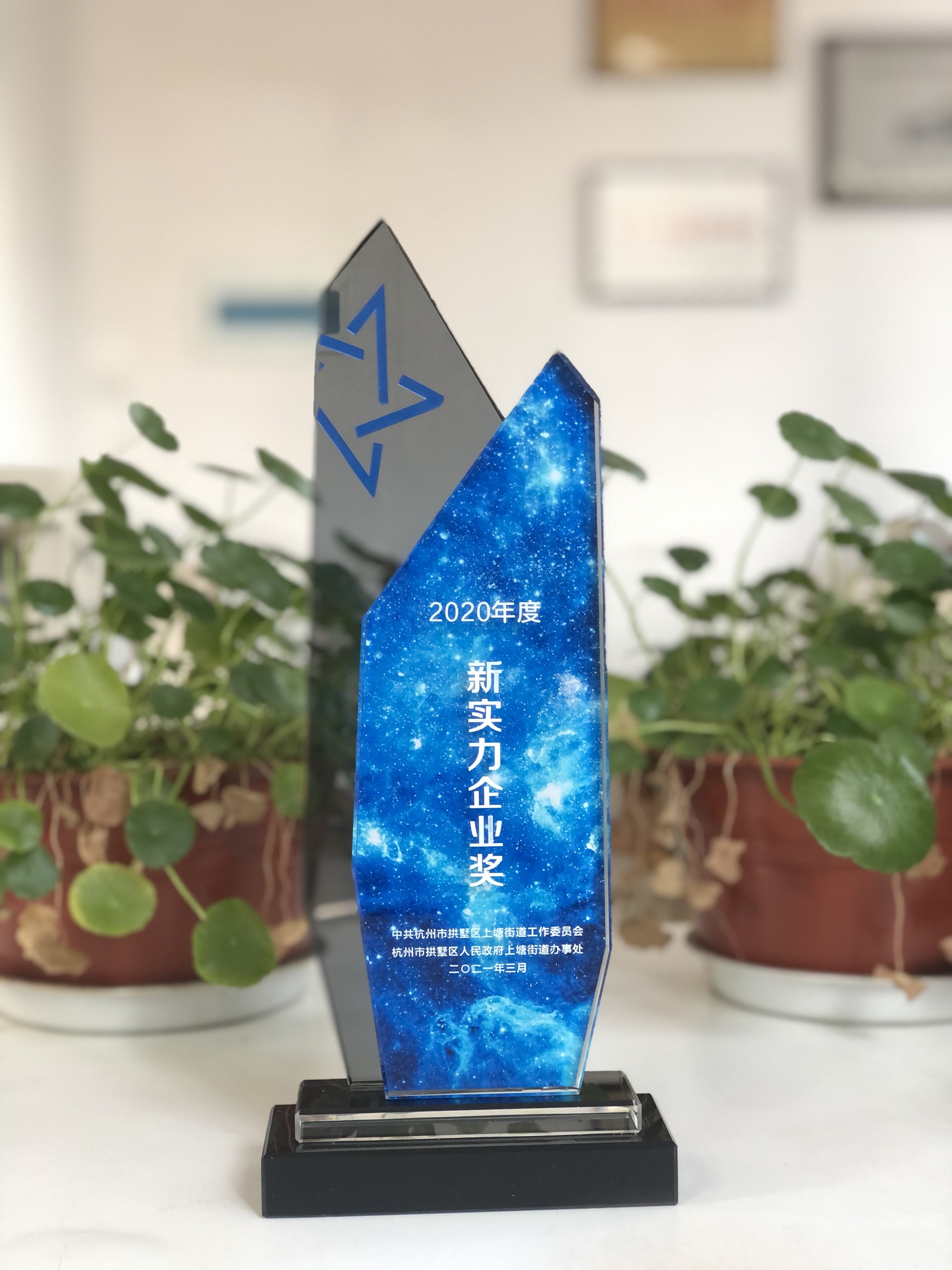 浙江必赢网络科技有限公司荣获“新实力企业奖”